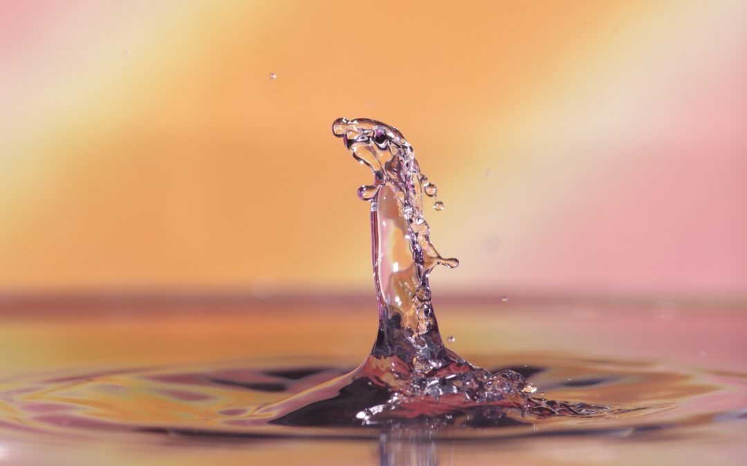 店舗やクリニックの営業日を登録&ワンタッチで表示できるクイックタグを追加